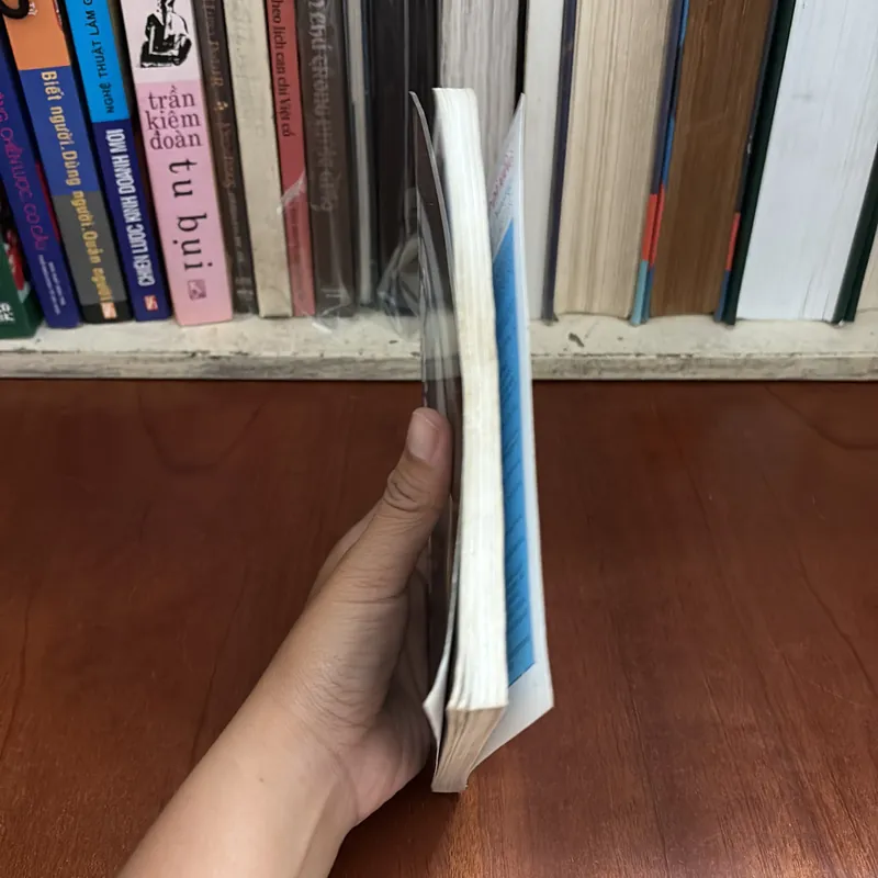 II Tựa sách: Ngũ Hành Sơn - Nguyễn Trọng Hoàng - 1997 599491