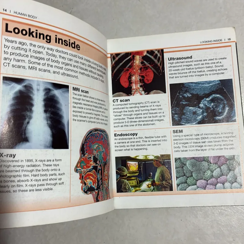 Pocket Eyewitness Human Body 777778