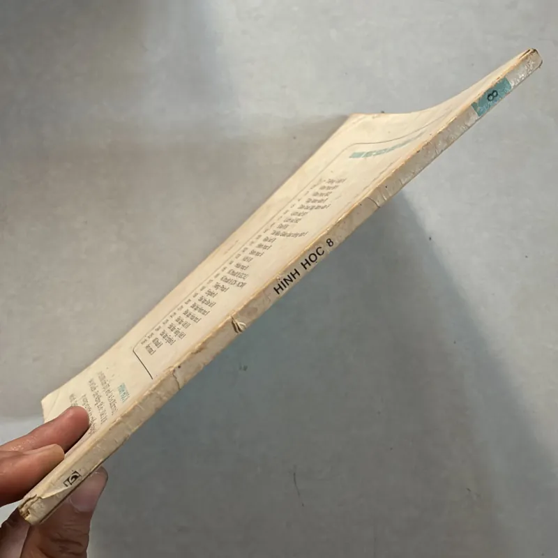 Hình học 8 800662