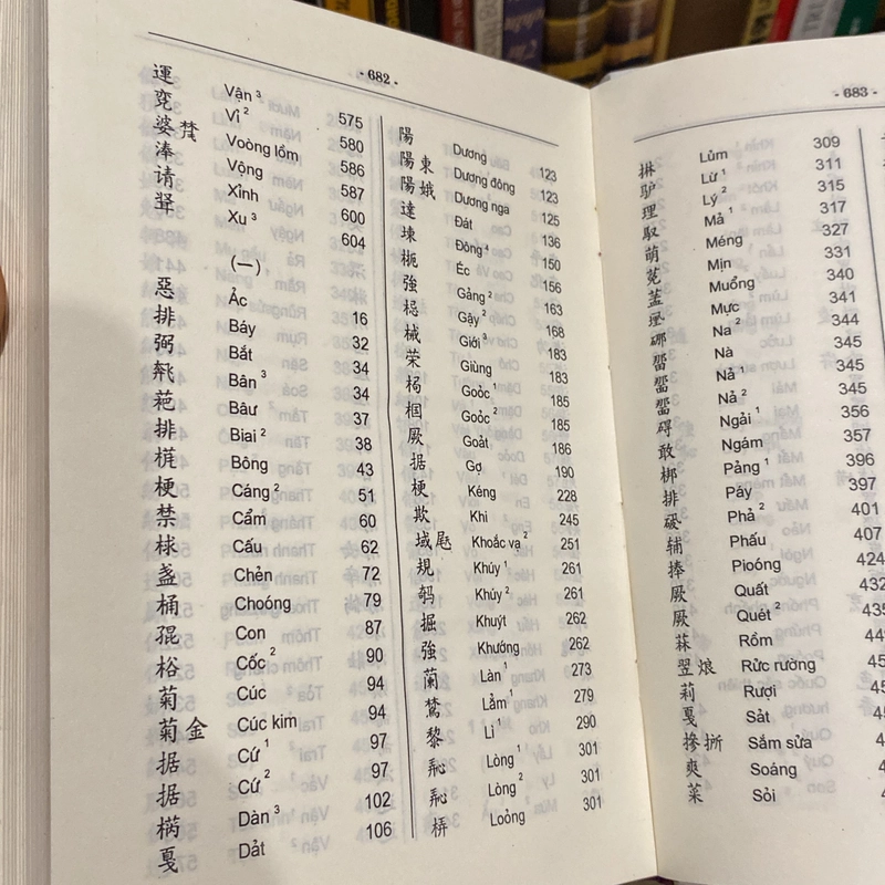 TỪ ĐIỂN CHỮ NÔM TÀY, BẢN BÌA CỨNG (XB 2003) 550414