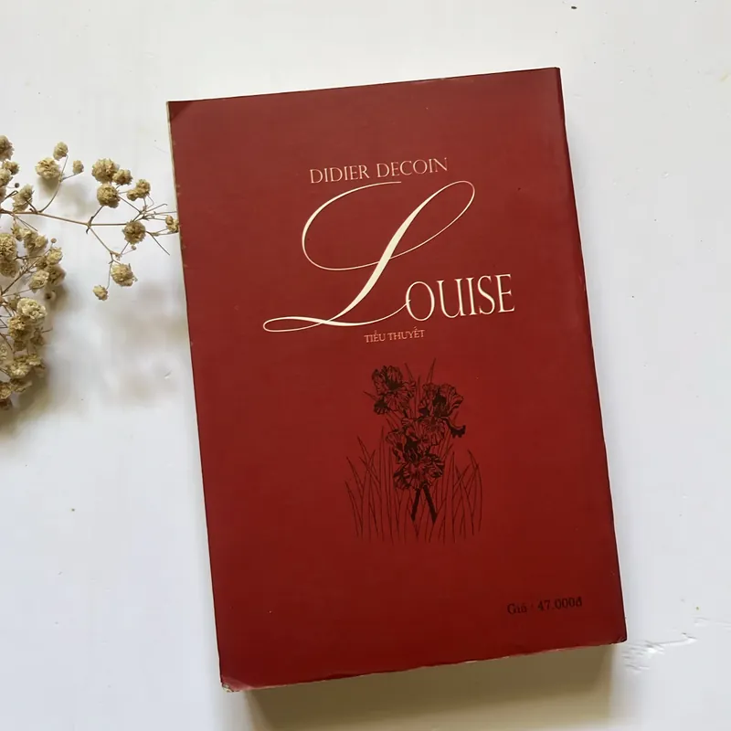 Bán sách cũ – Louise – Didier Decoin 564207