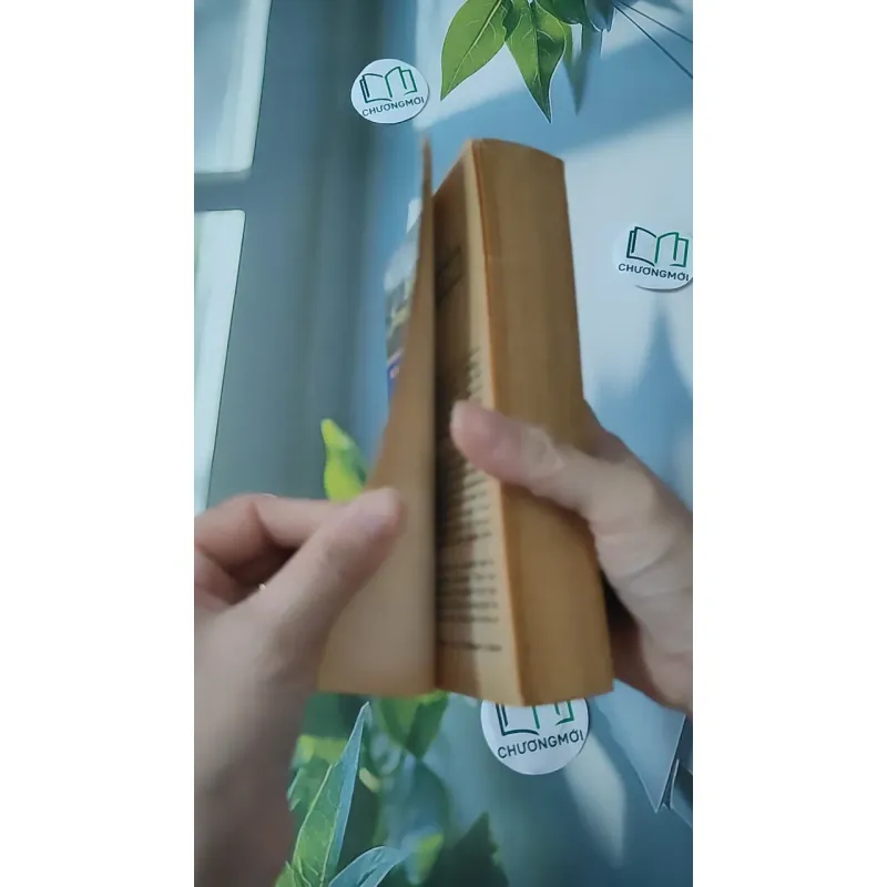 Sharpe's Triumph - Bernard Cornwell 1026748