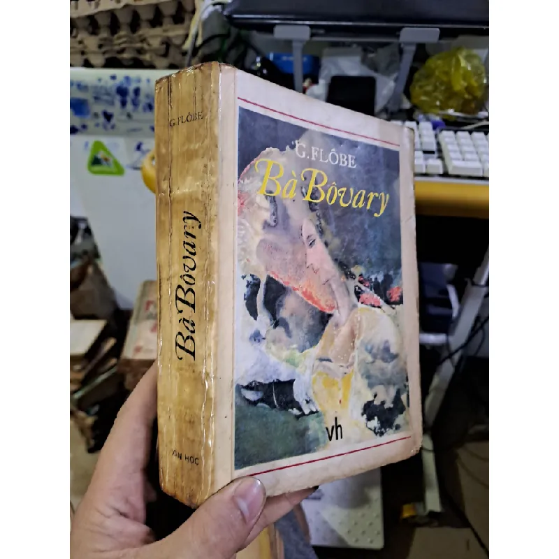 Bà Boovary G.Flobe mới 70% ố 1989 Văn học nước ngoài HCM1709 Blogmeo21025 582838
