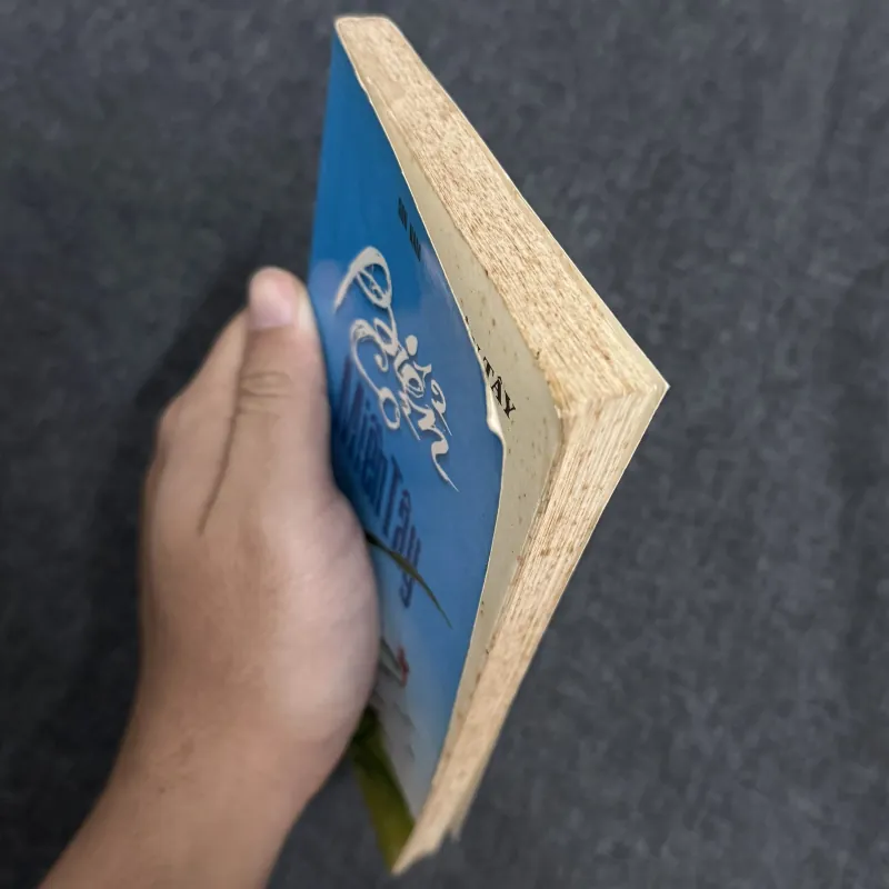 Biển cỏ miền Tây - Sơn Nam 929734