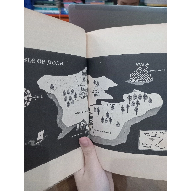 The Chronicles of Prydain: The castle of Llyr - Lloyd Alexander 507194