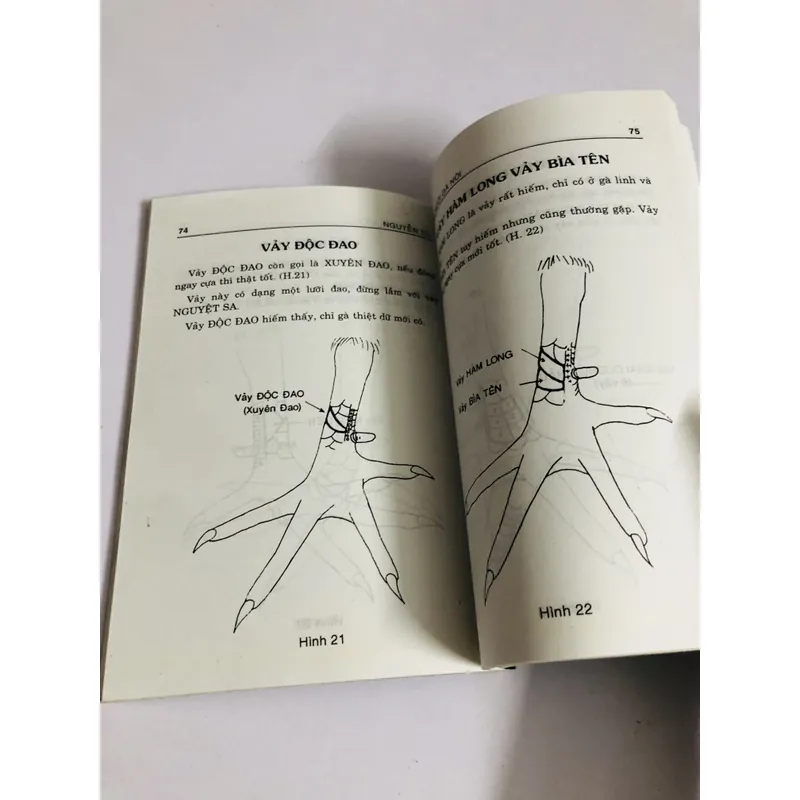 THÚ NUÔI GÀ NÒI 726834