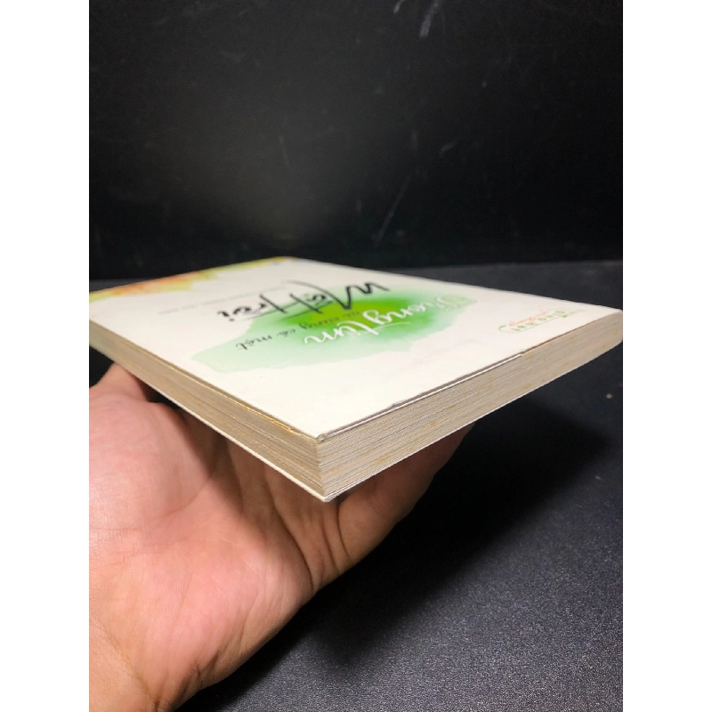 Trong tim ai cũng có một mặt trời 2017 Thích Chân Tính mới 90% ố nhẹ (văn học) SBMQ7-2301 913266