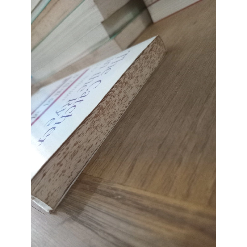 Sách tiếng Hàn 7: The Catcher in the Rye - J.D. Salinger 730793