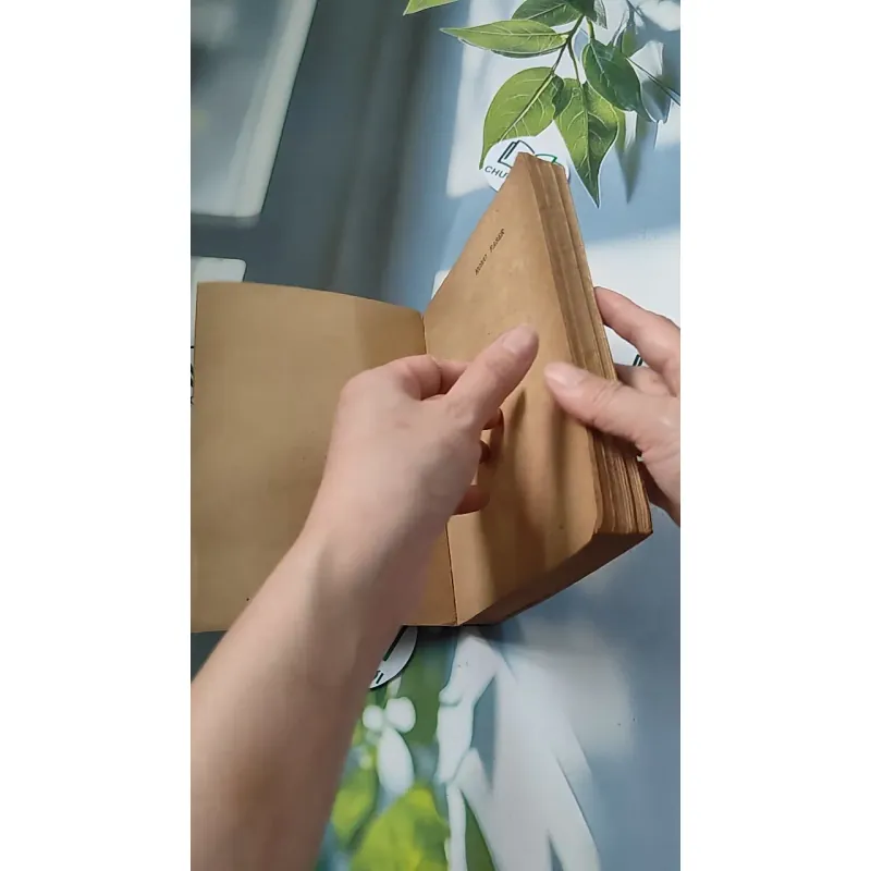 [XƯA] Homo Faber (1986) - Max Frisch 776069