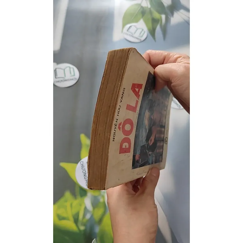 [XƯA] Đô La (1991) - Nguyễn Hữu Vang 776052