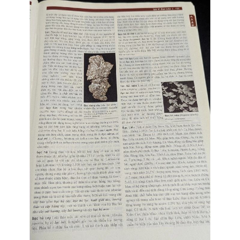 Từ điển bách khoa Britannica 799508