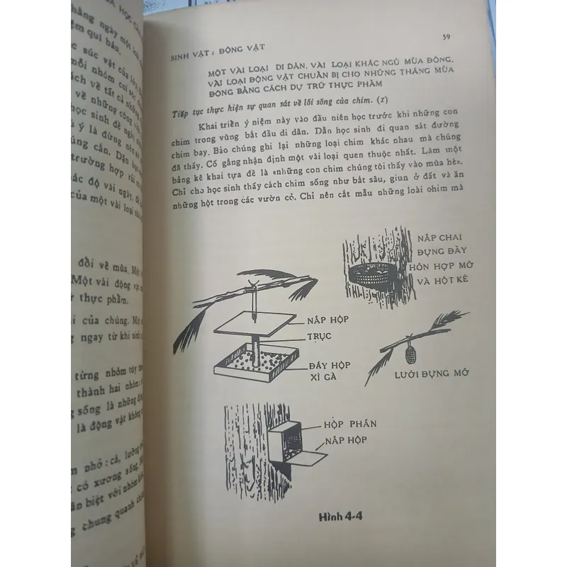 DẠY KHOA HỌC CĂN BẢN - RITA LANGLEY 735328