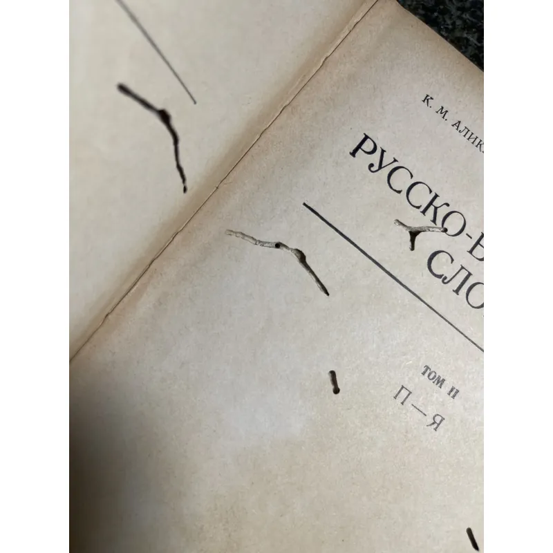 Từ điển Nga Việt XB 1977 706024