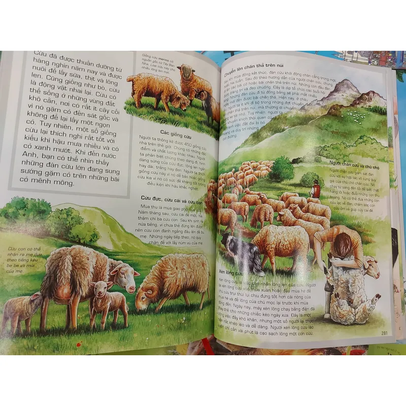Tủ Sách Tri Thức Bách Khoa Bằng Hình - Thế Giới Động Vật | mới 100% bìa 350 1052778