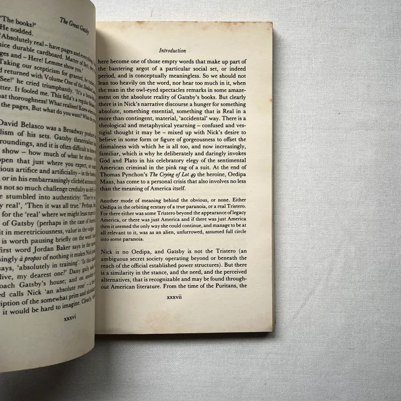 The Great Gatsby - F. Scott Fitzgerald 1028905