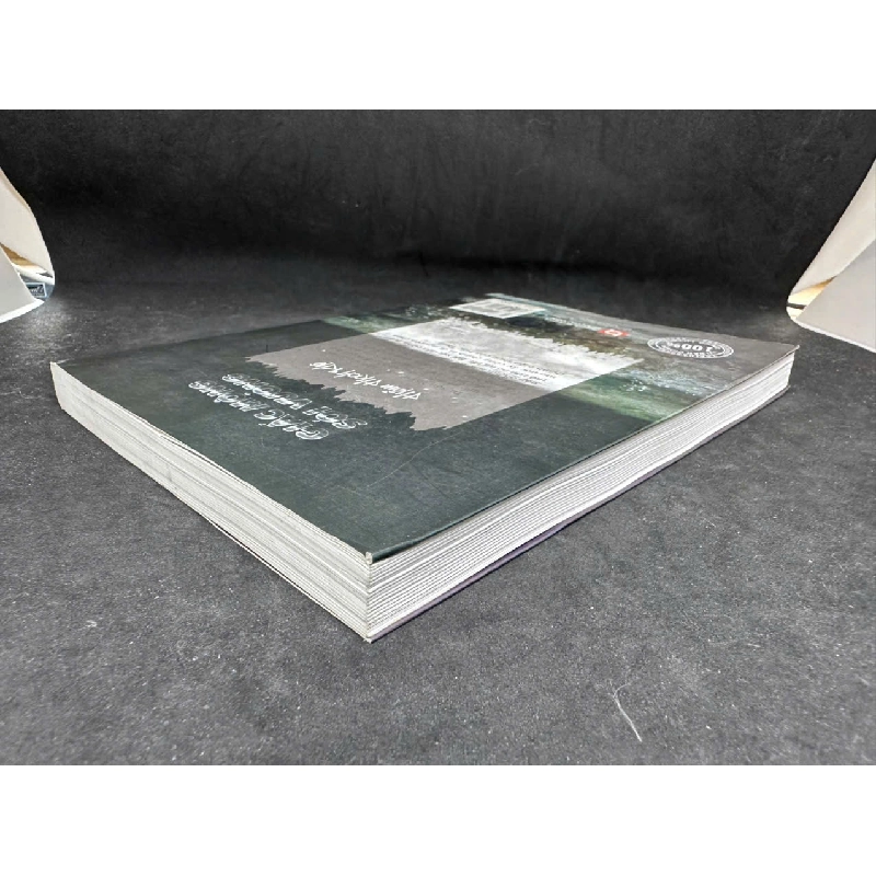 [Phiên Chợ Sách Cũ] Giấc Mộng Sói Vương, Thẩm Thạch Khê, H0606, 2012 SBM 525952