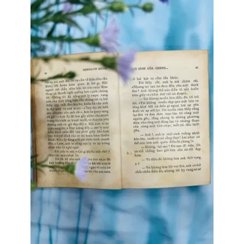 MỐI TÌNH CỦA CHÀNG NHẠC SĨ - HERMANN HEESE (VŨ ĐẰNG DỊCH) 733237