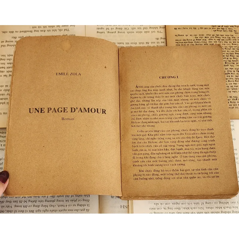 Tác phẩm văn học cổ điển Pháp của nhà văn Émile Zola 719388