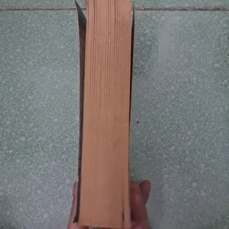 The enchantress 997430