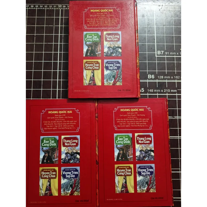 Vương triều sụp đổ & Huyền Trân công chúa & Bão táp cung đình - Hoàng Quốc Hải 731177