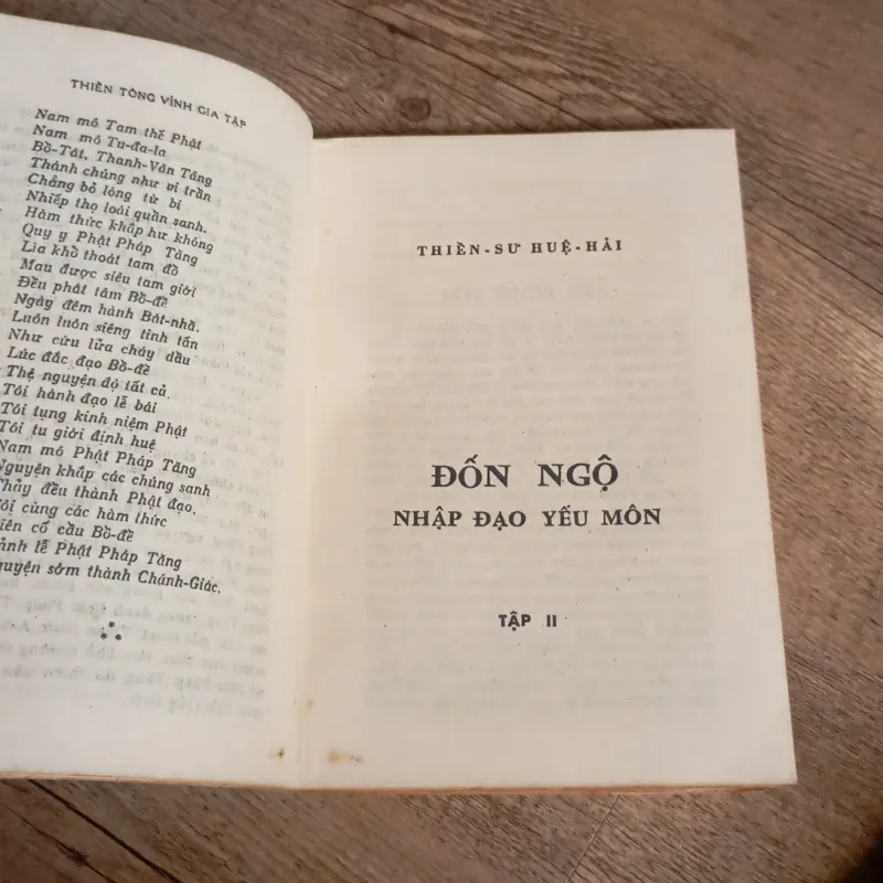 Thiền Đốn Ngộ  763465