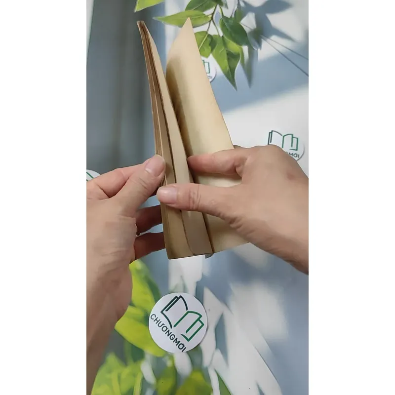 [XƯA] Việt Nam Cuộc Chiến Tranh Mười Ngàn Ngày - Hồ Sơ Mới Về Điện Biên Phủ (1989) - Michael Maclear 776008