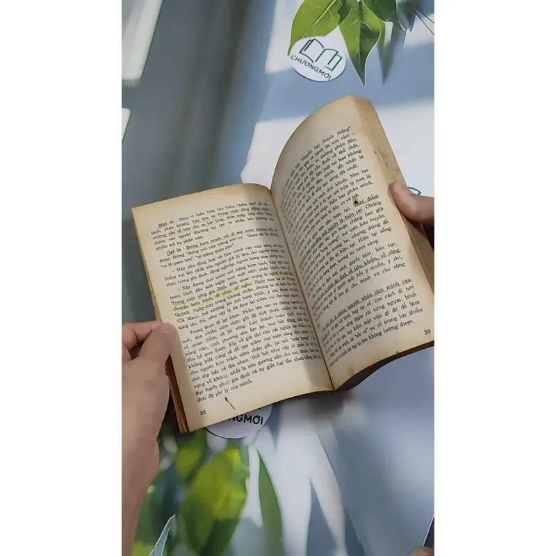 [XƯA] 6 Bí Quyết Dưỡng Sinh Người Có Tuổi (1994) 776147