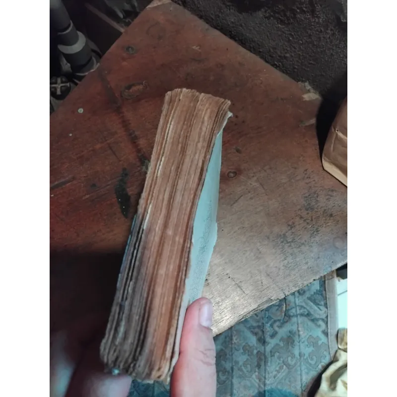 Tiểu thuyết Thân phận của tình yêu ( Nỗi buồn chiến tranh ) của Bảo Ninh  733825