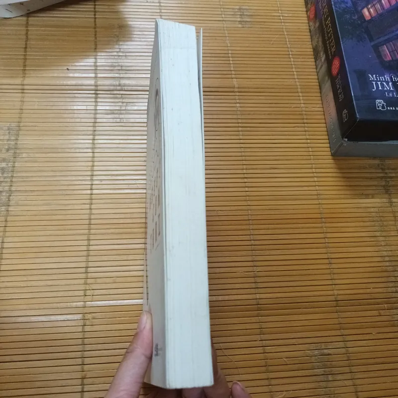 Người Con Trai - Jo Nesbo 715231