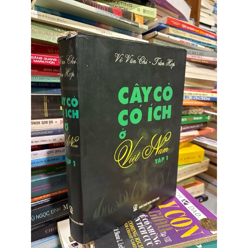 Cây cỏ có ích ở Việt Nam - Võ Văn Chi & Trần Hợp ( trọn bộ 2 tập ) 128165