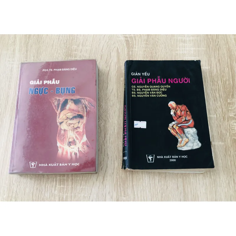 GIẢI PHẪU NGƯỜI - GIẢI PHẪU NGỰC BỤNG 989633