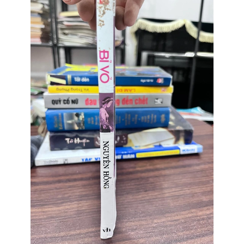 Bí Vô - Nguyễn Hồng 933744