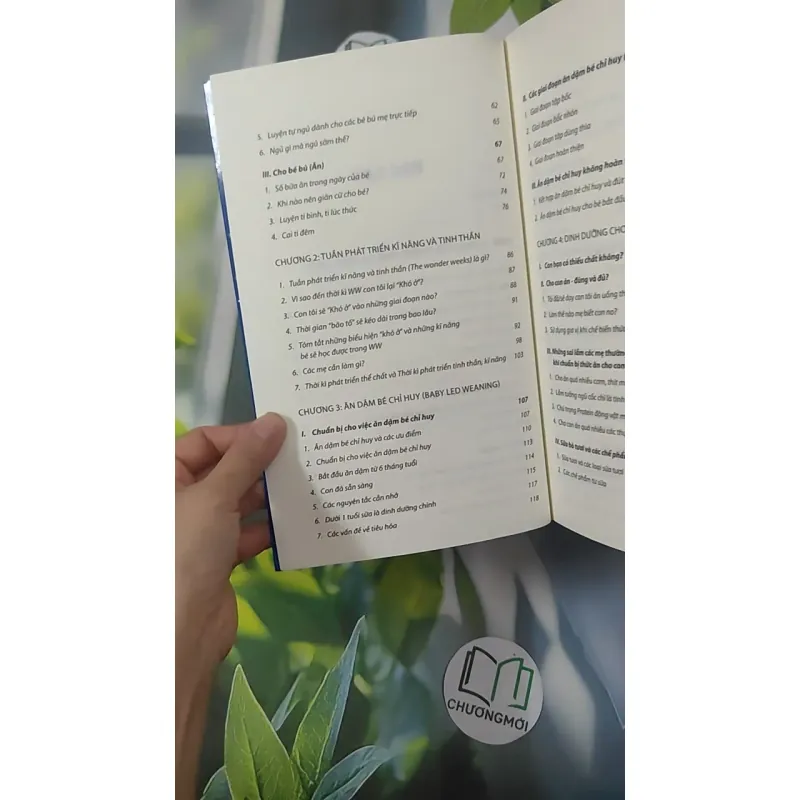 Nuôi Con Không Phải Là Cuộc Chiến 1 - Bubu Hương & Mẹ Ong Bông & Hachun Lyonnet 1018930