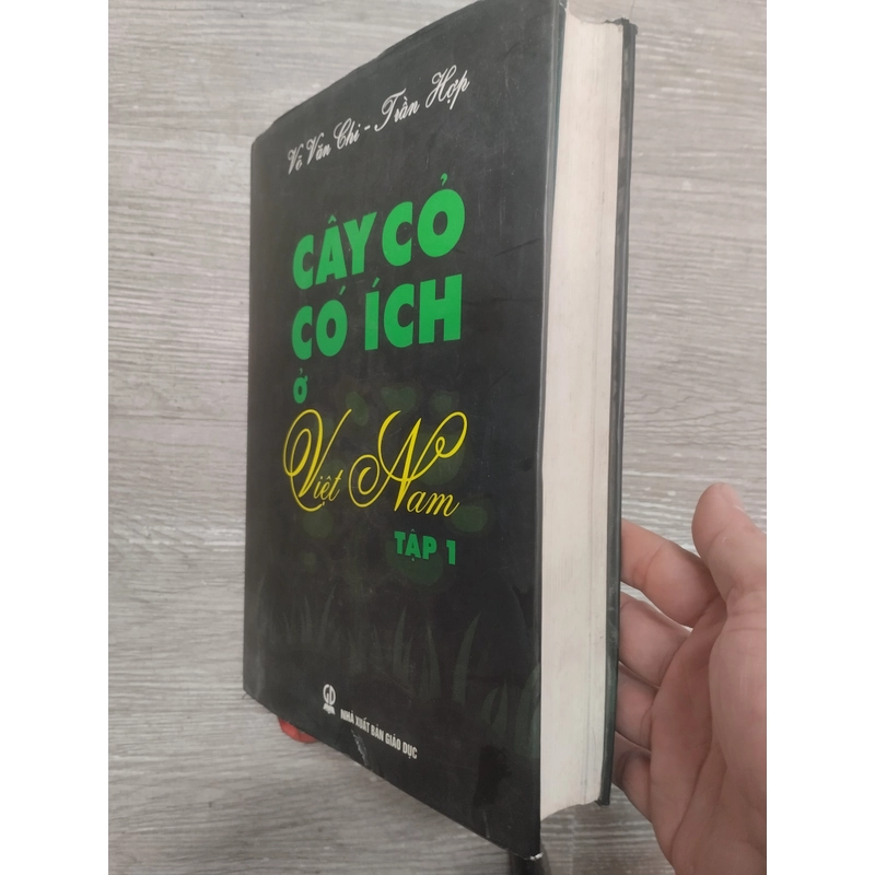 Cây cỏ có ích ở Việt Nam tập 1 335417