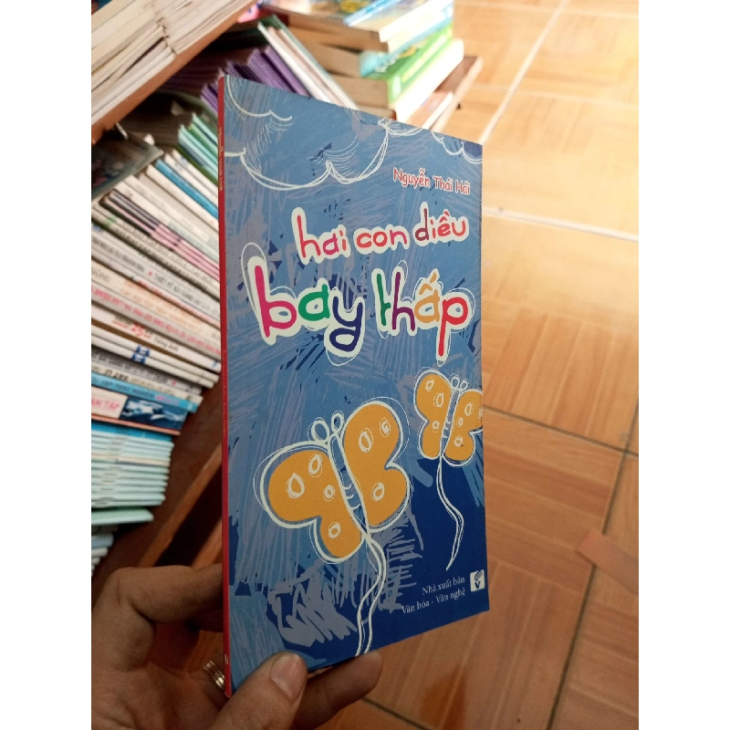 (Sách cũ SCGR) Hai con diều bay thấp - Thái Hải 2014 VAVO-AK18 Blogmeo090426 1016099