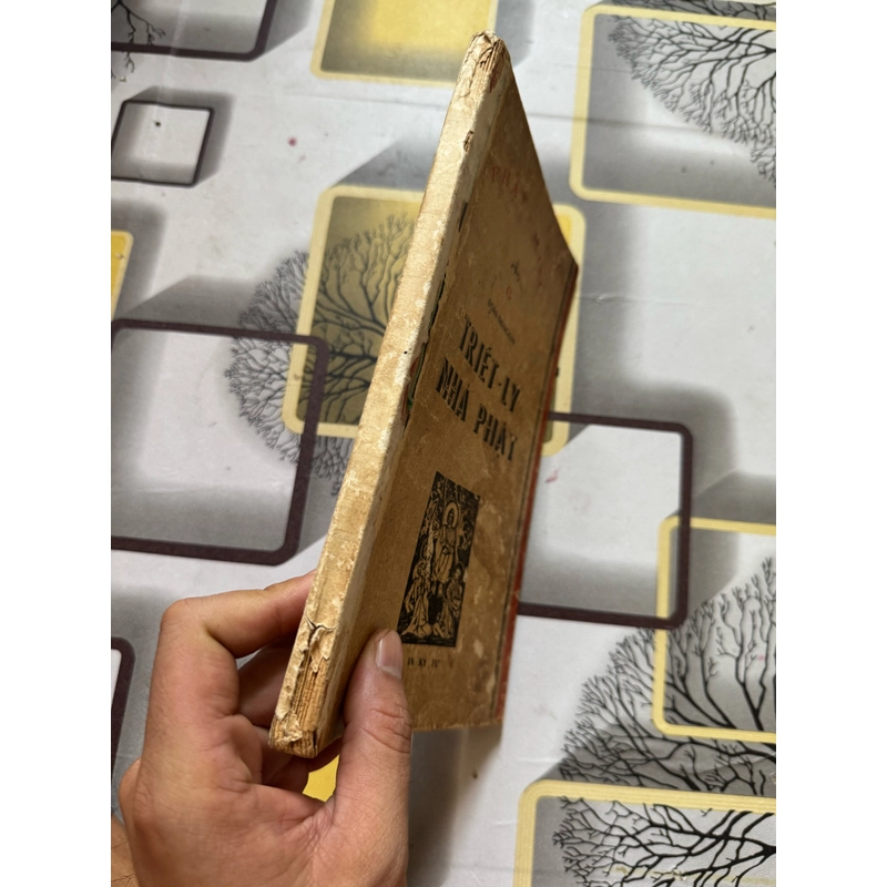 Triết lý nhà phật 528425
