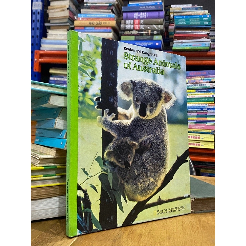 Strange Animals of Australia : Koalas and Kangaroos 550886