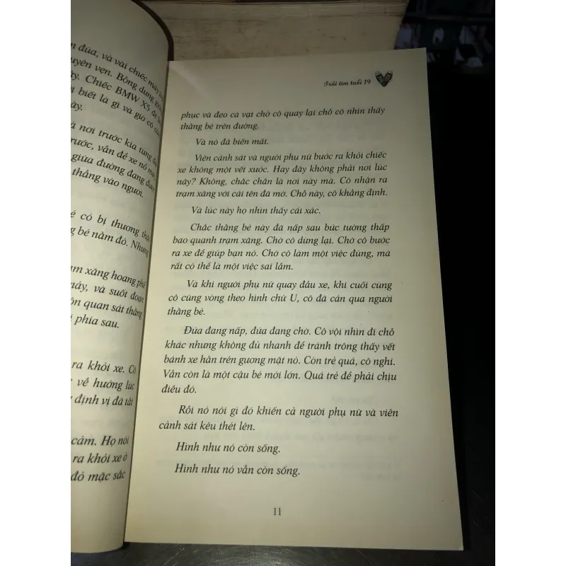 Trái tim tuổi 19 - Starting Over 1023989