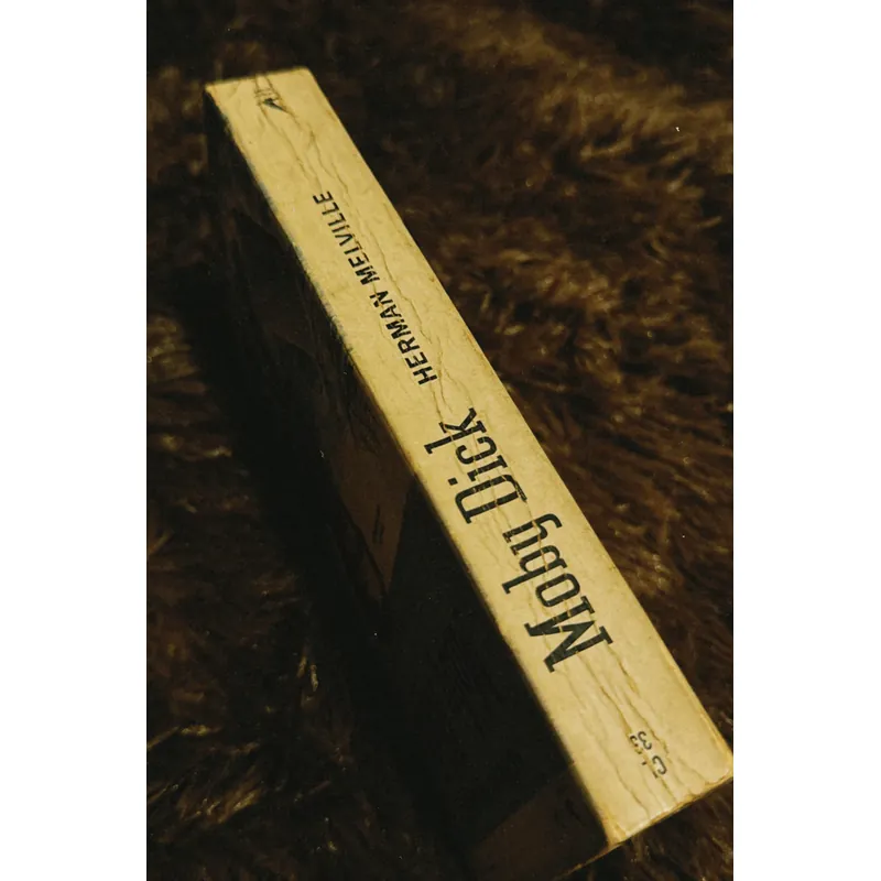 Moby Dick (English) 698197