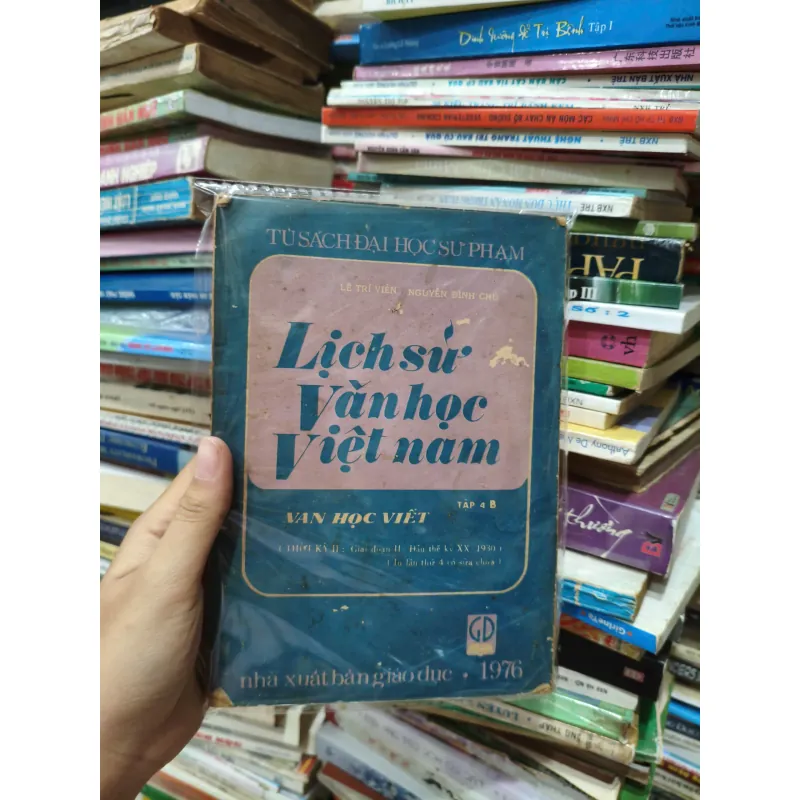 Lịch Sử Văn Học Việt Nam 558325