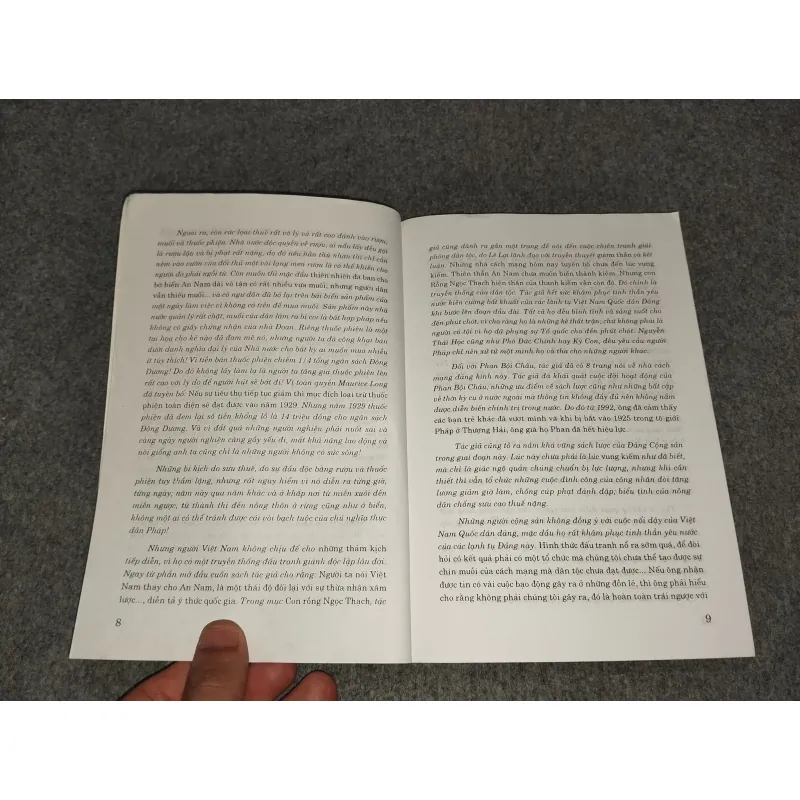 VIỆT NAM BI THẢM ĐÔNG DƯƠNG 698959