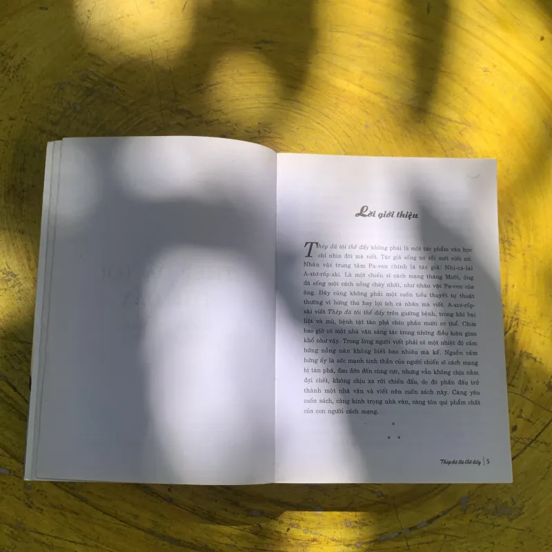 THÉP ĐÃ TÔI THẾ ĐẤY- NIKOLAI A. OSTROVSKY 782686