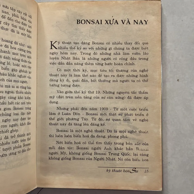 Kỹ thuật Bonsai - Hoài Đức 720789