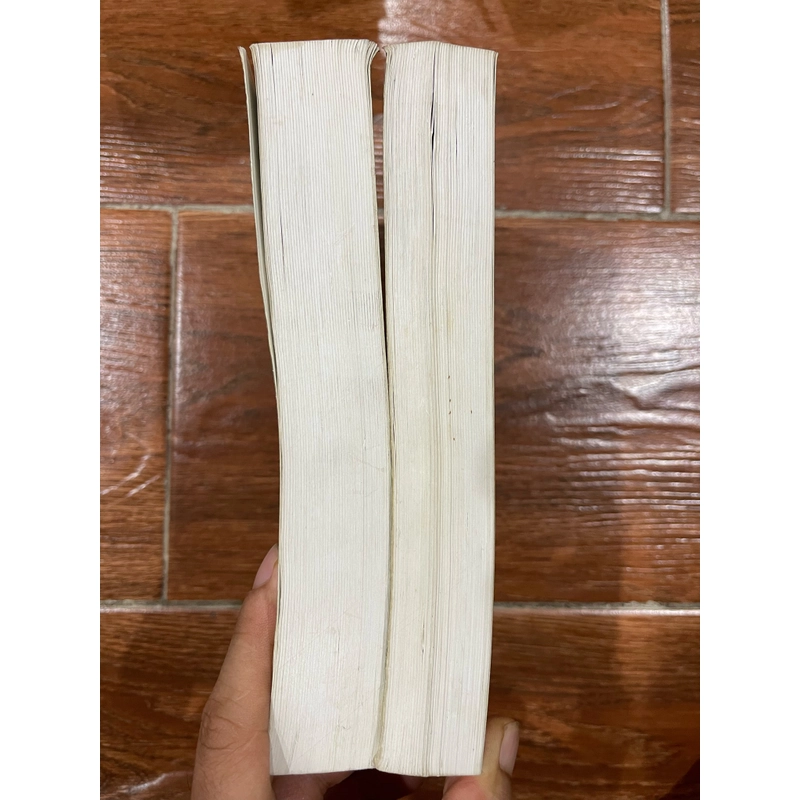 Hồ Tuyết Nham bộ 2 tập (k19) 501219