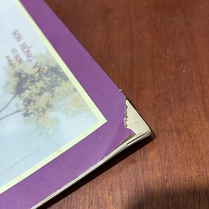 II Nhạc Cụ, Âm Nhạc: Tự Học Sáo _ Độc Tấu Đệm Thở (Tập 1) - Sơn Hồng Vỹ (Vi Sơn) - 2004 727051