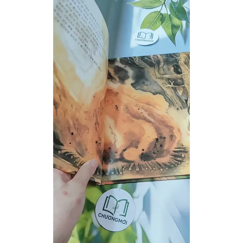 [Tặng nẹp góc] Truyện thiếu nhi Hàn Quốc: Moyamo Anu 22 -  모야모 아누와: 모기는 어떻게 생겨났는가;. 보여요?  732014