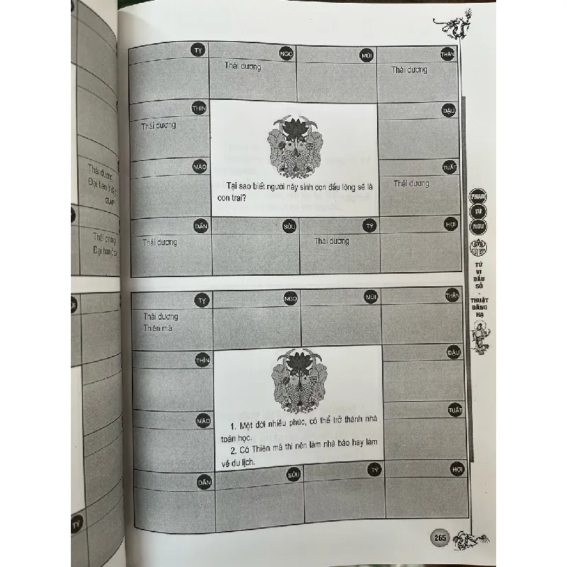 Tử vi đẩu số thuật đăng hạ - Phan Tử Ngư 703469