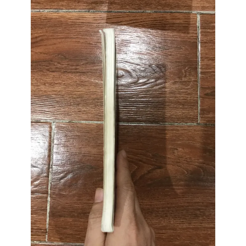 Truyện Kiều đọc ngược - Phạm Đan Quế (6) 932176