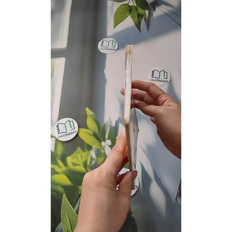 Chủ Tịch Hồ Chí Minh: Chúng Ta Học Gì 928559