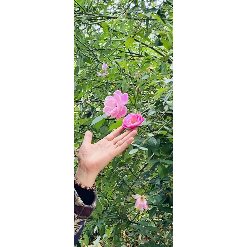 Vòng đá Ưu Linh 903278